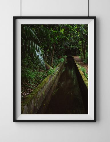 Lewada na Maderze, plakat, fotografia